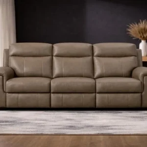 L3175-PALOMA-SOFA W/PR RECLINER-BROWN